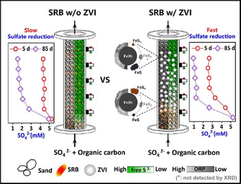 Enhanced Biogenic Sulfidation of Zero.
